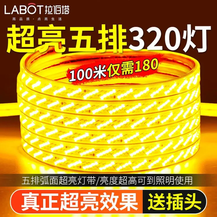 led灯带家用客厅吊顶户外防水工程亮化装饰220v室外超亮白光灯带