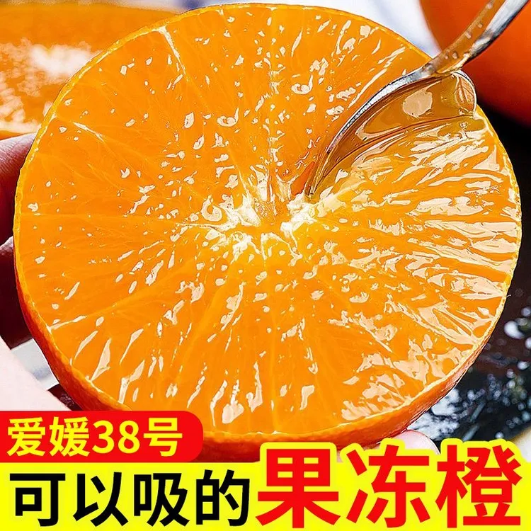 【爷爷种的果冻橙】爱媛38号果冻橙 四川新鲜水果 榨汁水果新鲜橙子