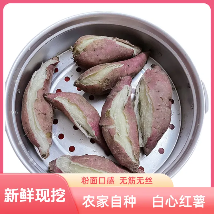 正宗海南板栗红薯粉地瓜沙地红薯海南地瓜食用小香薯海南特产好吃