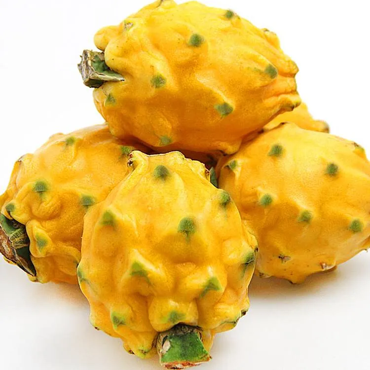 三亚黄色清甜多汁火龙果海南麒麟窝燕果原产直发4斤香甜燕窝果