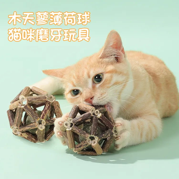 猫玩具磨牙棒薄荷球木天蓼猫咪磨牙逗猫棒自嗨解闷神器小猫咬用品