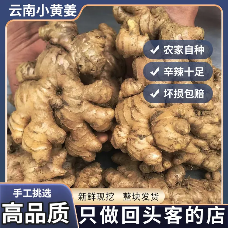 山地种植云南小黄姜浓香辛辣1/2/3/5/9斤现挖生姜带土发辛辣够味