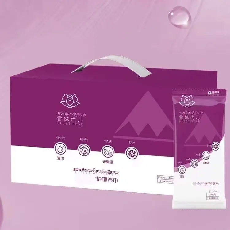 雪域代儿抑菌护理湿巾 100片