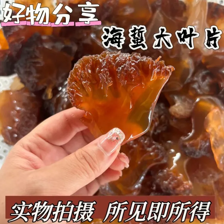 野生海蜇头海蜇大叶