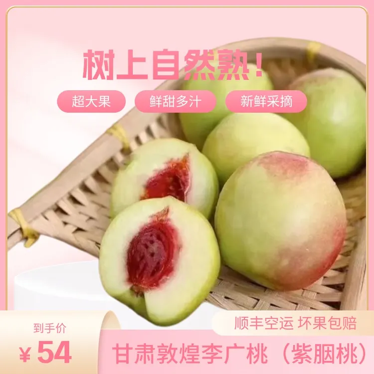 正宗敦煌李广桃紫胭桃油桃脆甜新鲜水果果园现摘