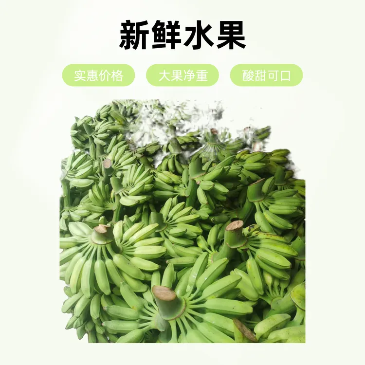 广西大芭蕉牛蕉大蕉芭蕉牛角蕉特价蕉净重新鲜水果酸甜实惠