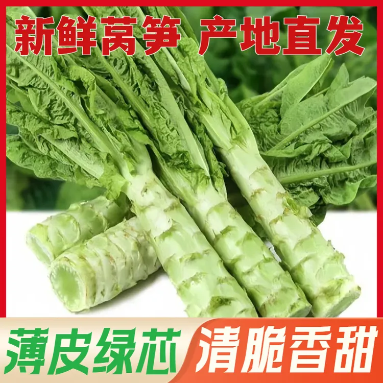 薄皮莴苣莴笋山东产地直发农家自种新鲜脆嫩空心好吃实惠