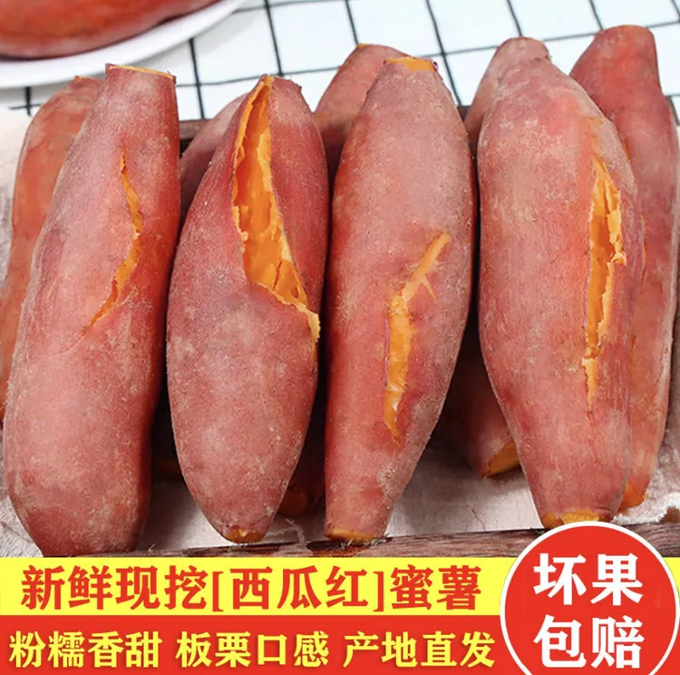 2025现挖沙地蜜薯3斤5斤9斤软糯香甜无筋无丝