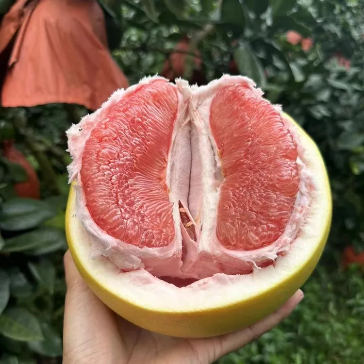 福建琯溪三红蜜柚新鲜水果酸甜可口现摘现发