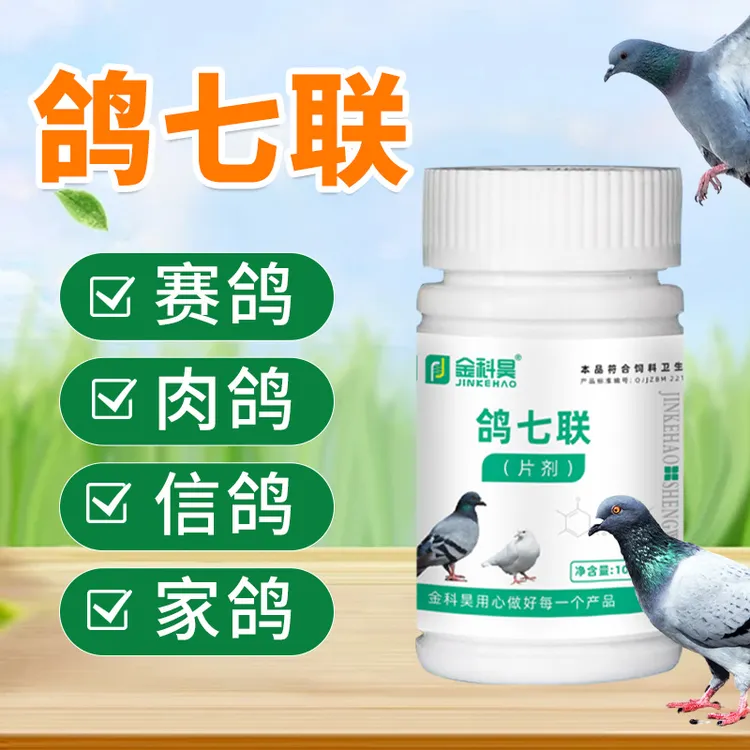 金科昊鸽七联赛鸽肉鸽信鸽幼鸽鸽子鸽六联独抗片剂饲料添加剂