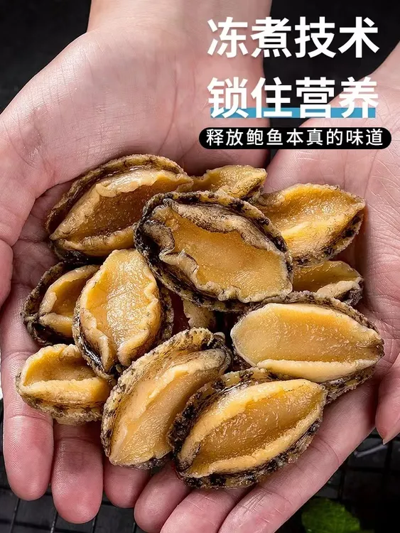 鲍鱼肉鲜冻 超大个九孔鲍鱼手剥纯肉 净重500克以上 干净肥美新鲜