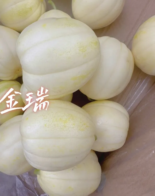 泽甜金瑞甜瓜种子