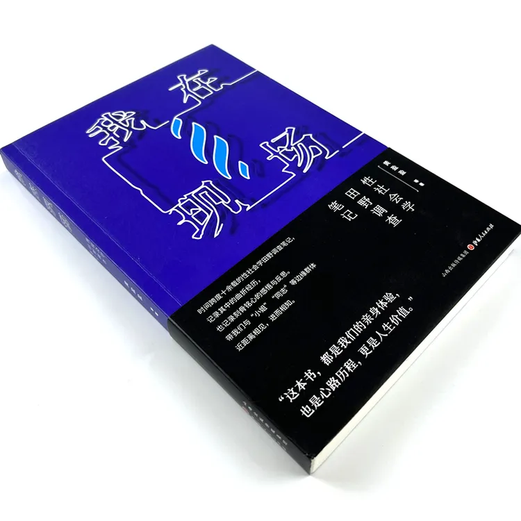 我在现场：性社会学田野调查笔记 社会学作品 两性关系 红灯区 