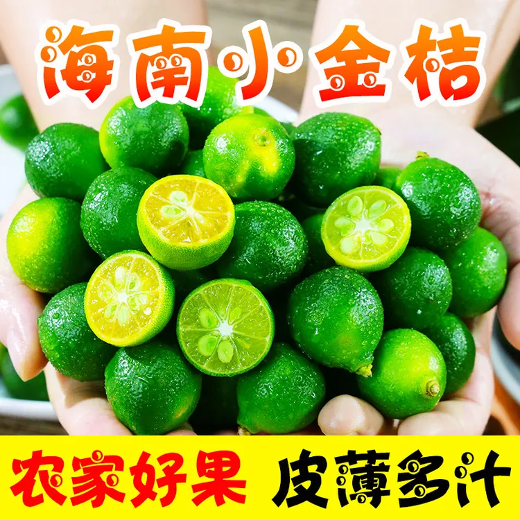 【新鲜采摘】海南青金桔中大果奶茶店水果皮薄多汁香气四溢小青柠檬