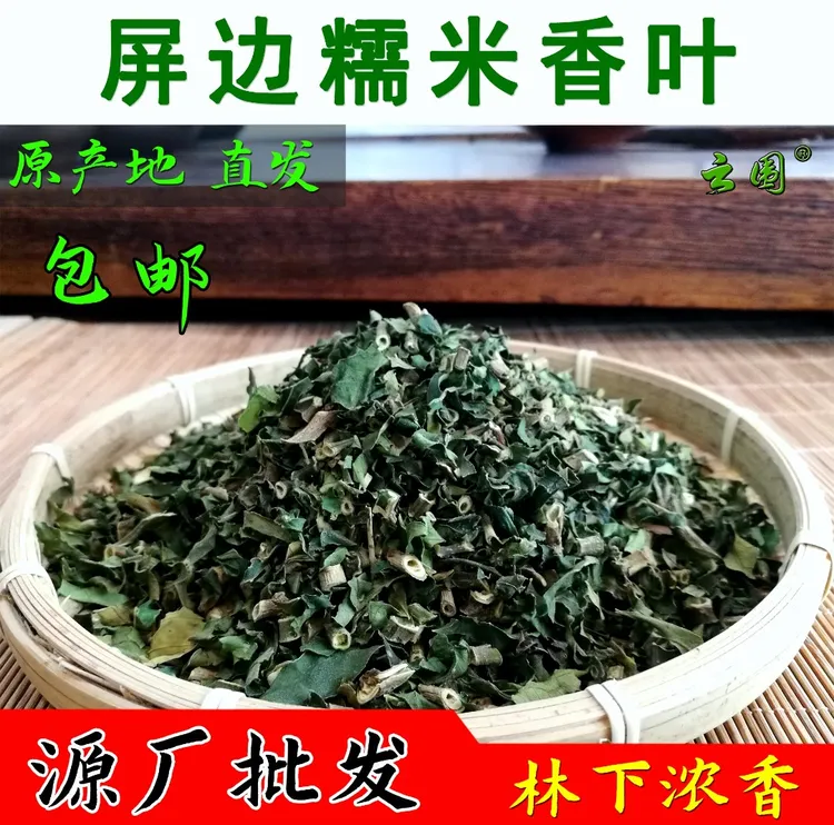 屏边天然 糯米香叶  林下浓香 优质天然料 糯香麒麟大口茶配料