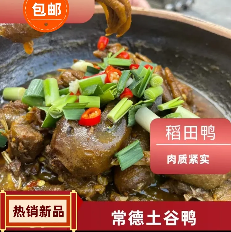 湖南散养谷鸭1000g湘菜原材料私房菜鸭肉即食特色香辣美味钵子菜