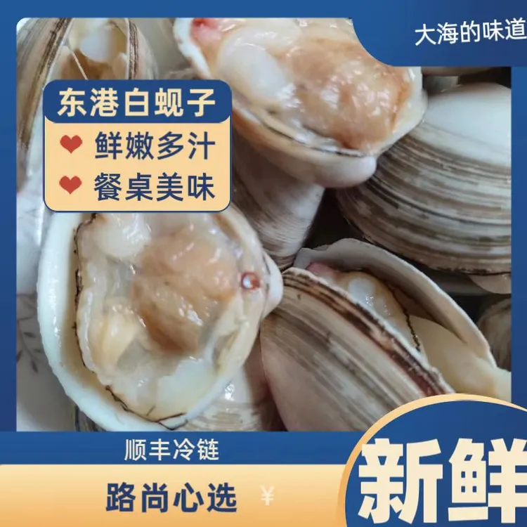 路尚心选东港大白蚬子鲜活发货一斤15-17粒【顺丰包邮】