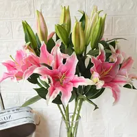 鲜花【粉色香水百合】同地址两单京东或德邦送货上门+配草1扎