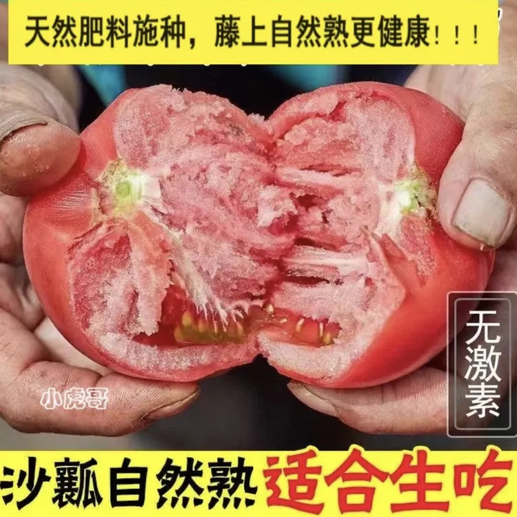 【顺丰快递】陕西泾阳普罗旺斯沙瓤水果西红柿3斤4.5-5斤装