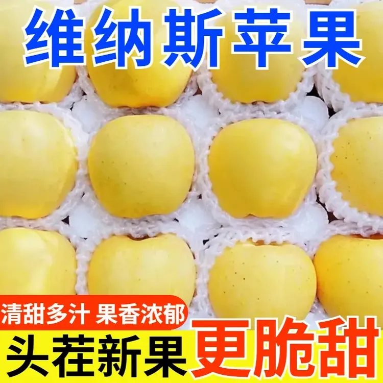 【新鲜采摘】维纳斯黄金苹果脆甜多汁新鲜水果苹果整箱包邮坏果包赔