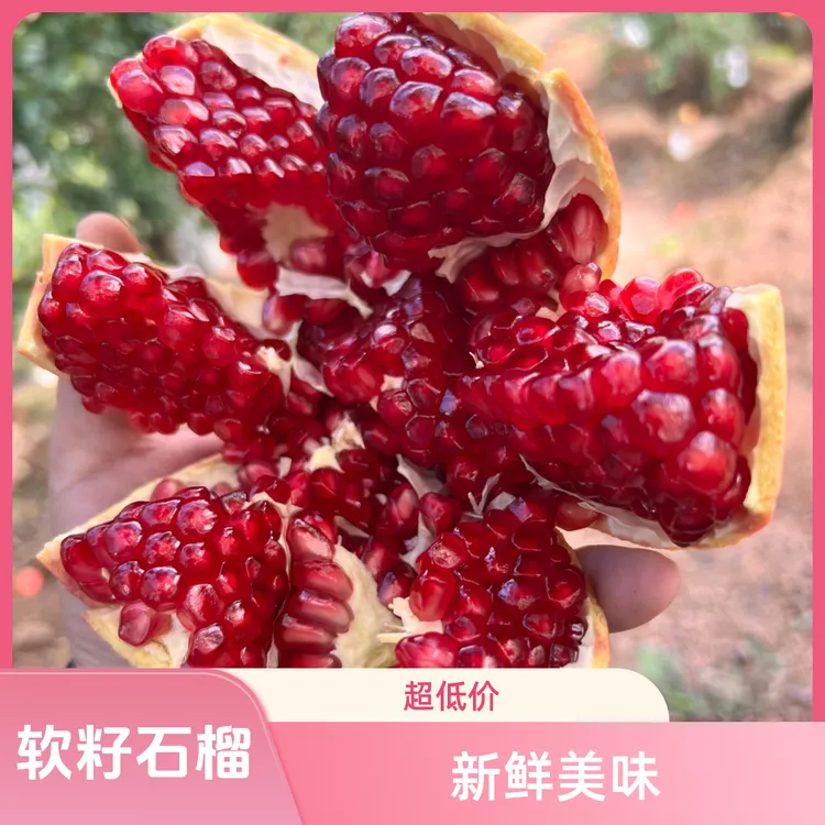 会理突尼斯软籽石榴