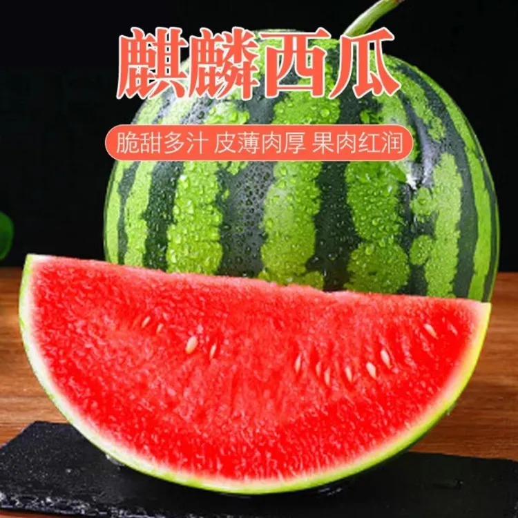 《老三严选》海南麒麟西瓜7-9斤 包邮