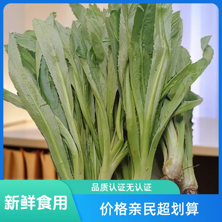 新鲜食用大香菜芜茜缅甸芜荽刺芜荽假芜茜泰国香菜味道清香250克