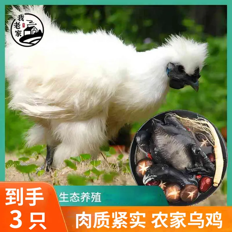 【我老家】囤货装 乌鸡1000g/只*3只 包冰率10%以内