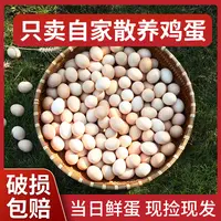 10-40枚山林散养土鸡蛋现捡现发笨鸡蛋五谷喂养谷物蛋初生蛋