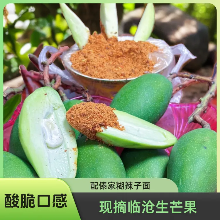 【现摘生芒果】生芒果酸脆生芒果新鲜生吃脆嫩送傣家辣椒