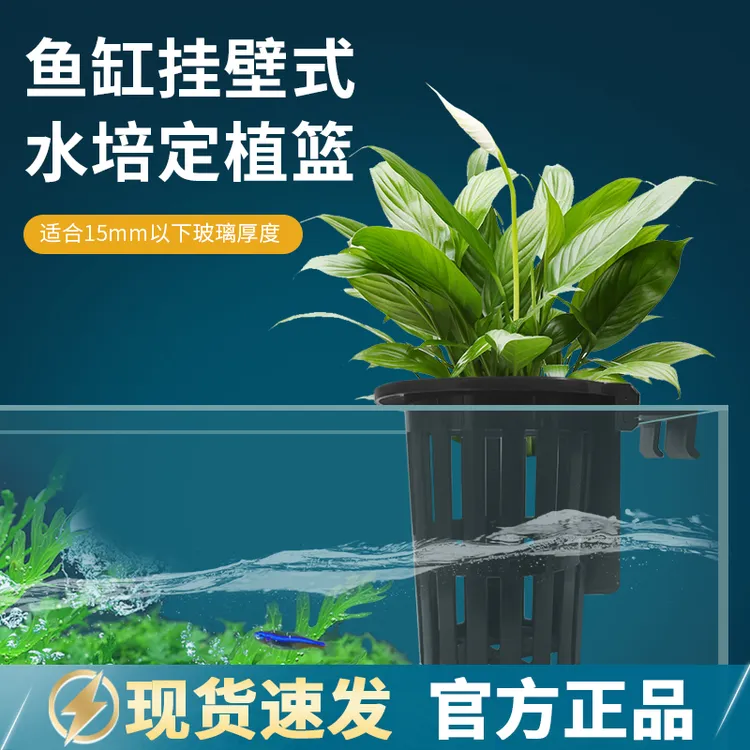鱼缸水培定植篮壁挂式水草杯圆形植物固定支架造景装饰配件