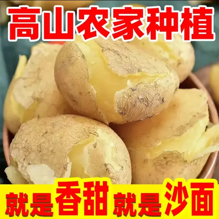 黄心土豆新鲜新土豆黄皮土豆批发洋芋马铃薯黄肉土豆批发5/10斤