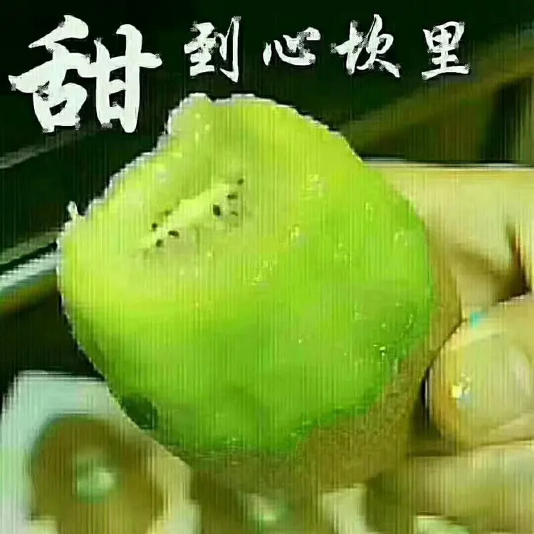 正宗陕西眉县徐香绿心猕猴桃软糯多汁香甜可口新鲜采摘坏果包赔