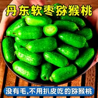 【放软食用】东北软枣猕猴桃1/2/3斤奇异莓新鲜猕猴桃