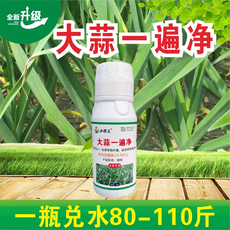 大蒜专用打算黄叶喷施干尖叶枯专用一遍净增产型
