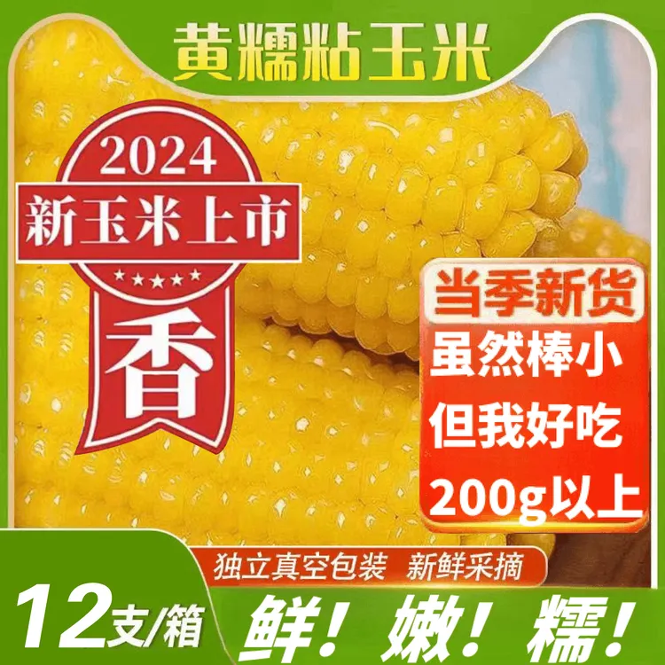 【试吃俩根】东北头茬黄糯玉米真空包装单根不低于200g拍8送4共12根