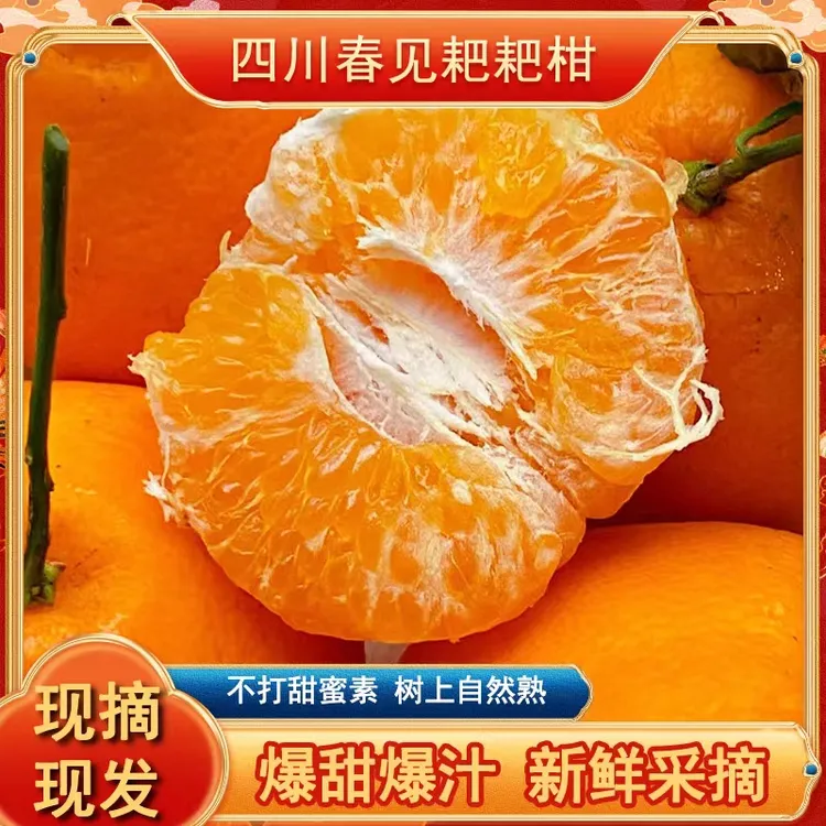 四川耙耙柑精品果商超专贡新鲜采摘产地发货自然成熟