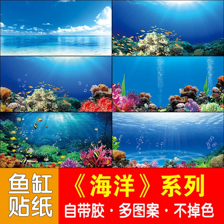 鱼缸背景贴纸海洋海底世界正面自带胶红龙鱼蓝色高清耐用防水