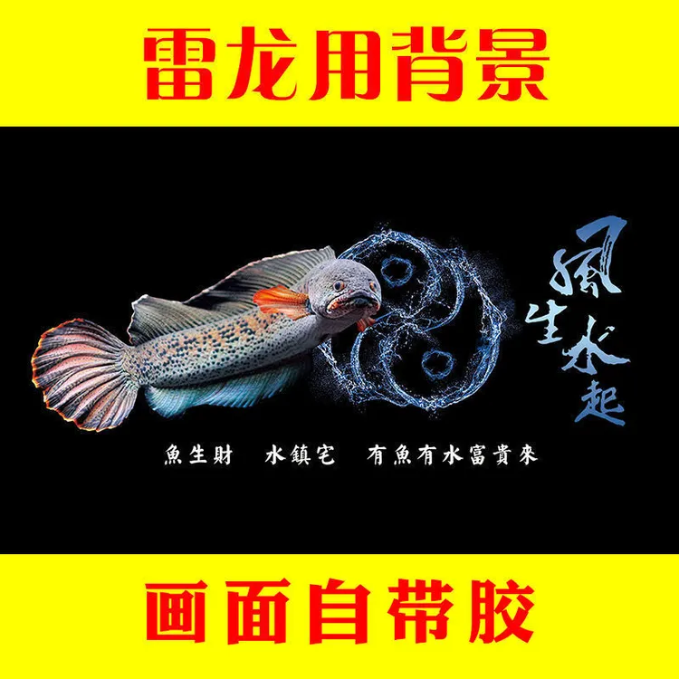 雷龙鱼缸背景贴纸雷龙鱼龙鱼正面自带胶红龙鱼黑色高清耐用防水