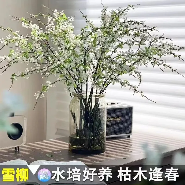 【7.8-20支】雪柳鲜枝带干枝水培花卉绿植室内盆四季简单好养活插花