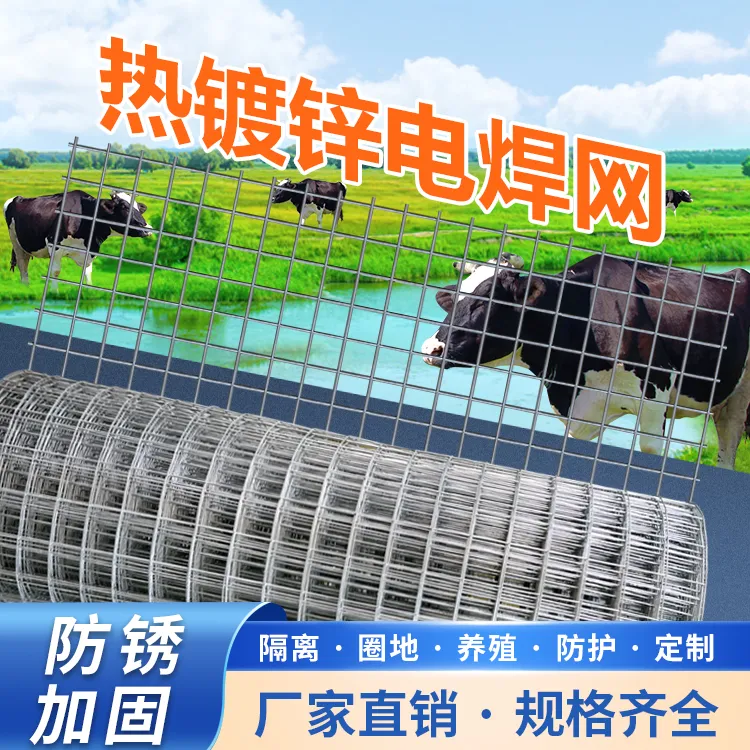 1.3公分方孔热镀锌电焊网卷网防锈防鼠防蛇防黄鼠狼 现货优质工厂