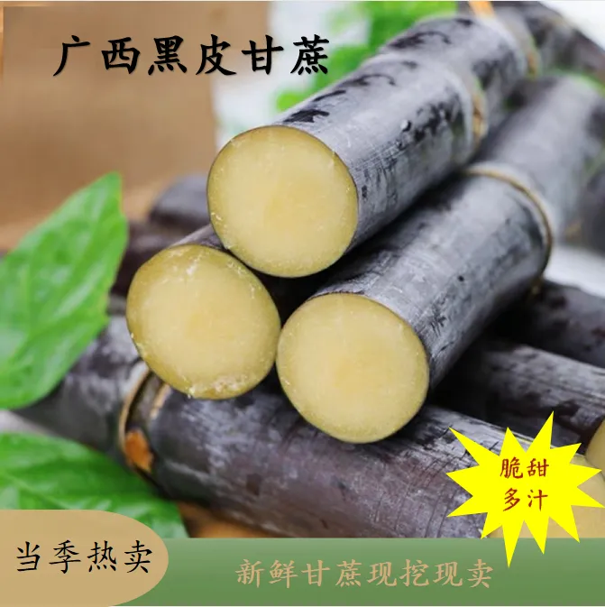 广西黑皮甘蔗新鲜精选中段脆甜多汁应季水果特产现摘现发