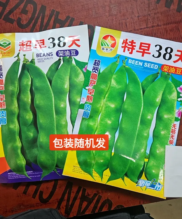 早熟38架油豆角种子