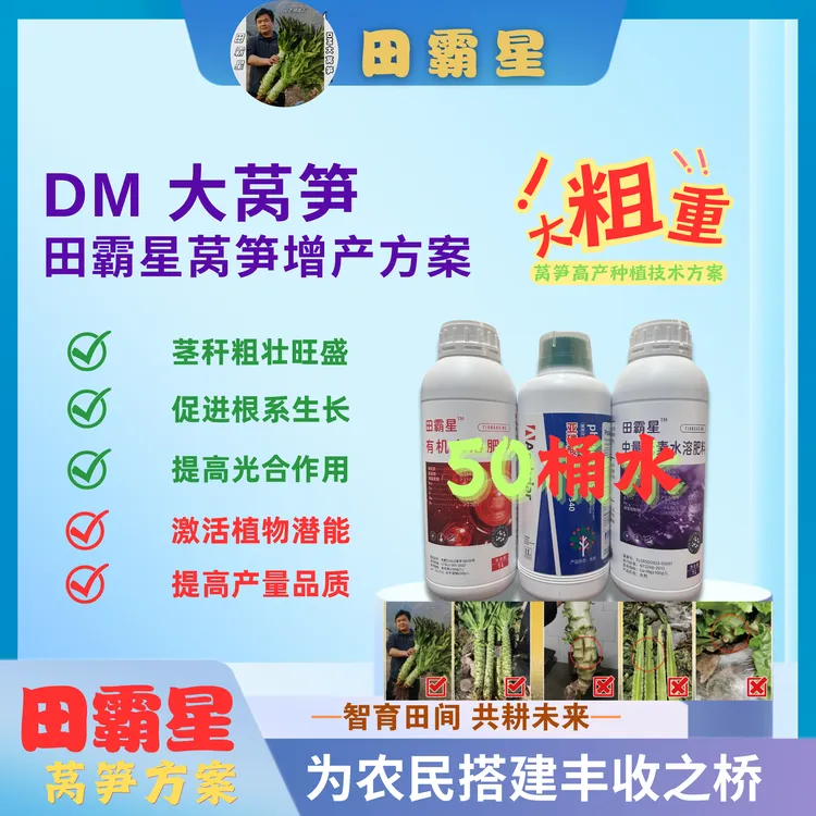 田霸星DM大莴笋营养方案防裂防空延后开花增大增粗产量增加