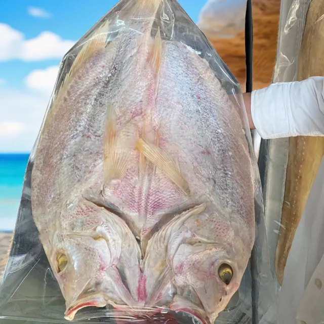 湛江东海岛腾跃海味红鱼干整条