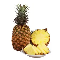 海南树上熟金钻凤梨1粒装约1kg