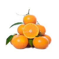 广西武鸣沃柑1.2kg装(单果90-130g)