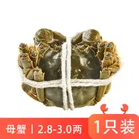 鲜活大闸蟹(母蟹)140-150g/只