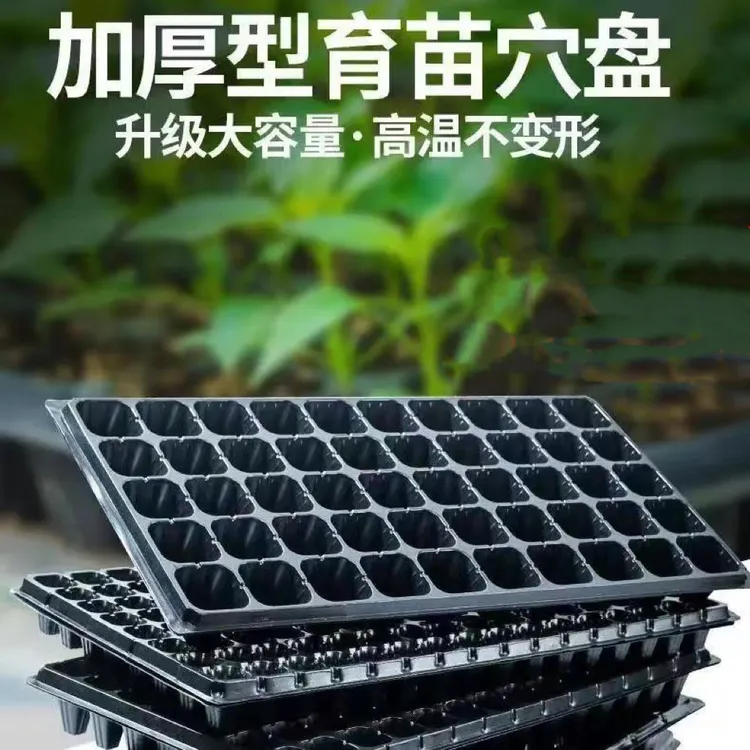 加厚优质育苗穴盘扦插蔬菜瓜果专用盘