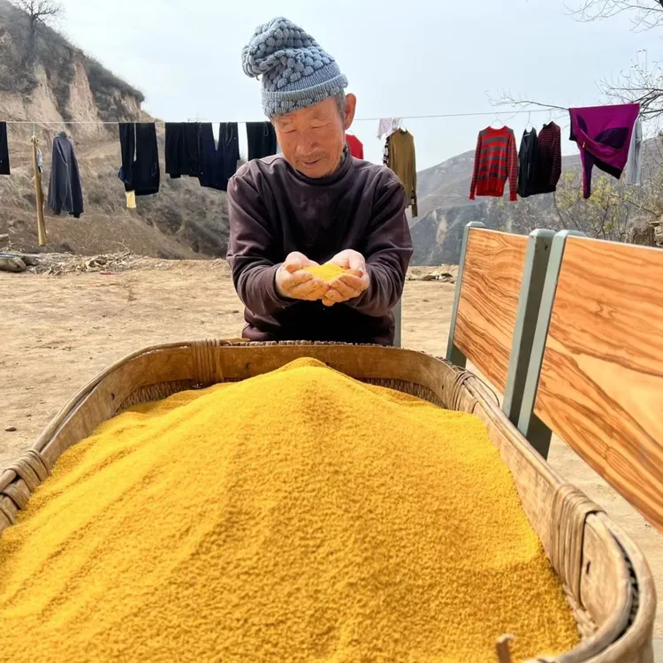 陕北农家优质新油小米3斤5斤包邮农家自产陕北黄小米杂粮香谷米